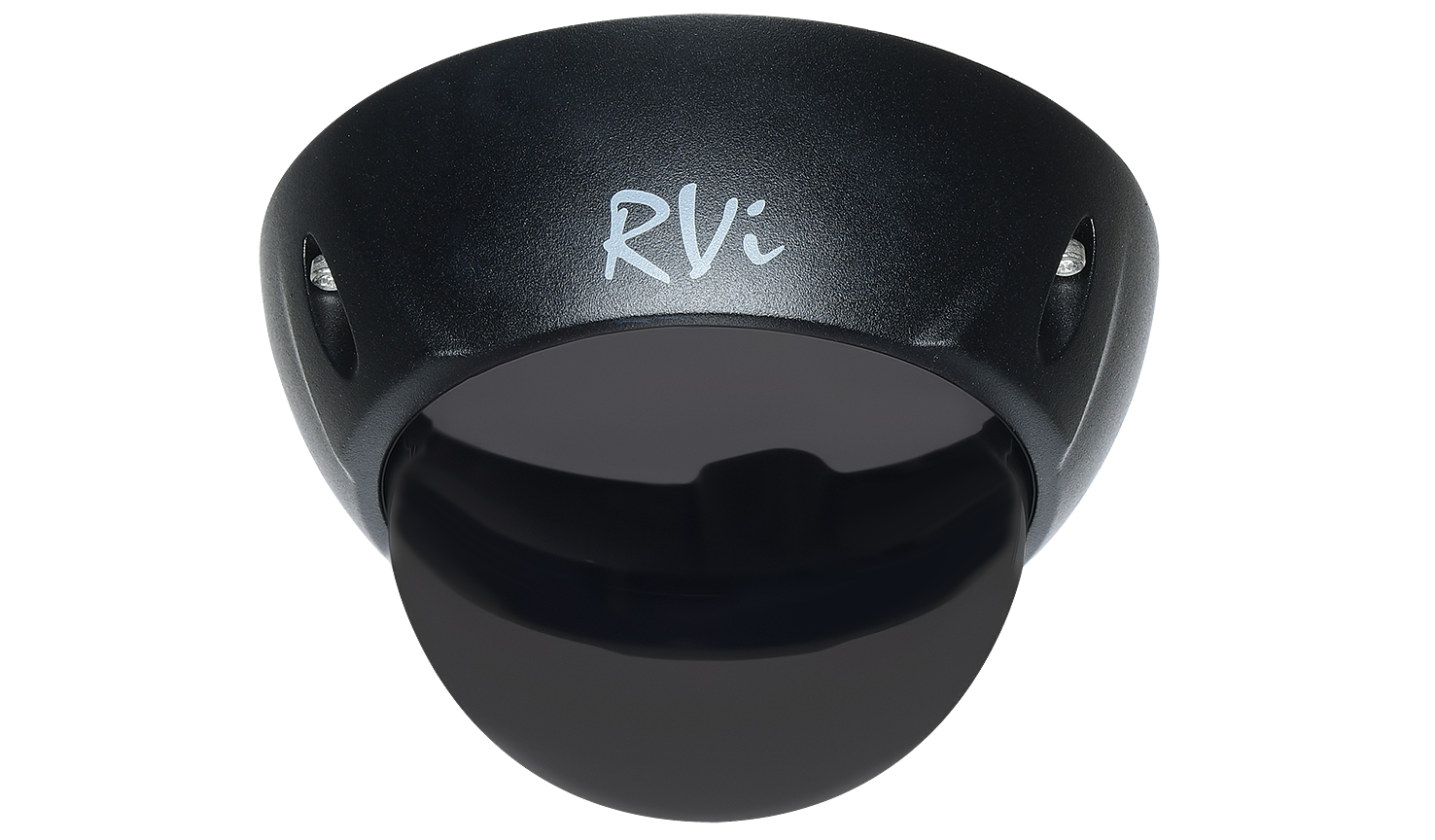 RVi-1DS3b